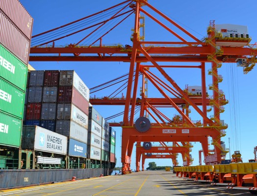 TecPlata, Port of La Plata